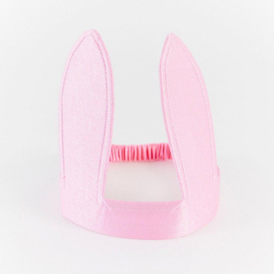 Silk Bunny Ears (Pink Pony)