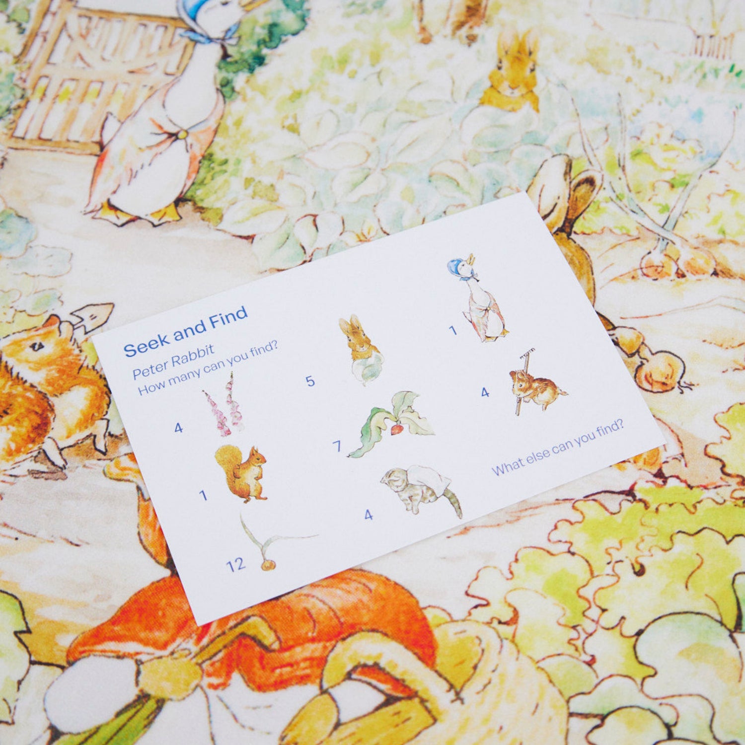 Seek and Find Playsilk (Peter Rabbit)