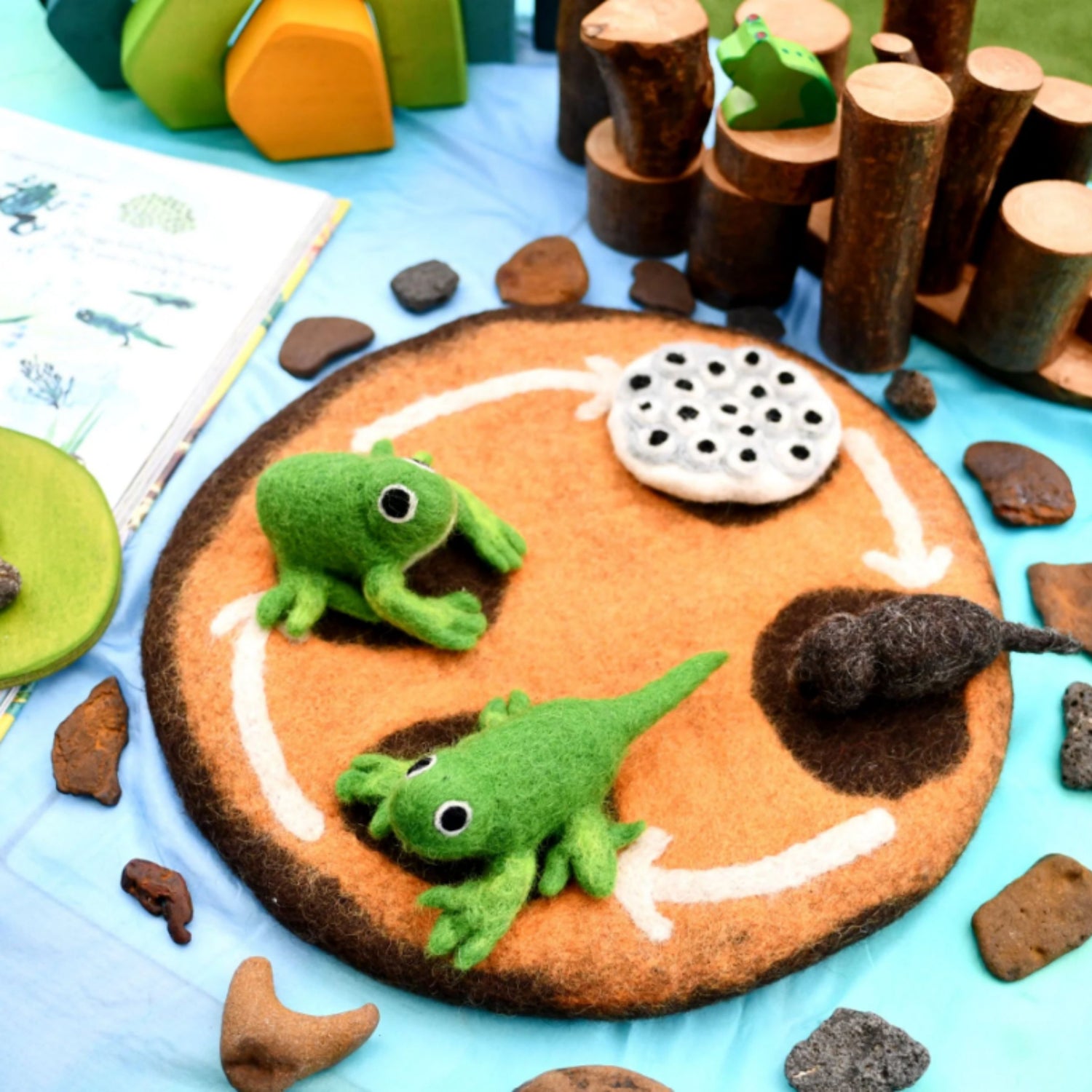 Felt Life Cycle of a Frog (Playmat Sold Separately)