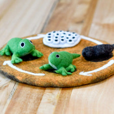 Felt Life Cycle of a Frog (Playmat Sold Separately)