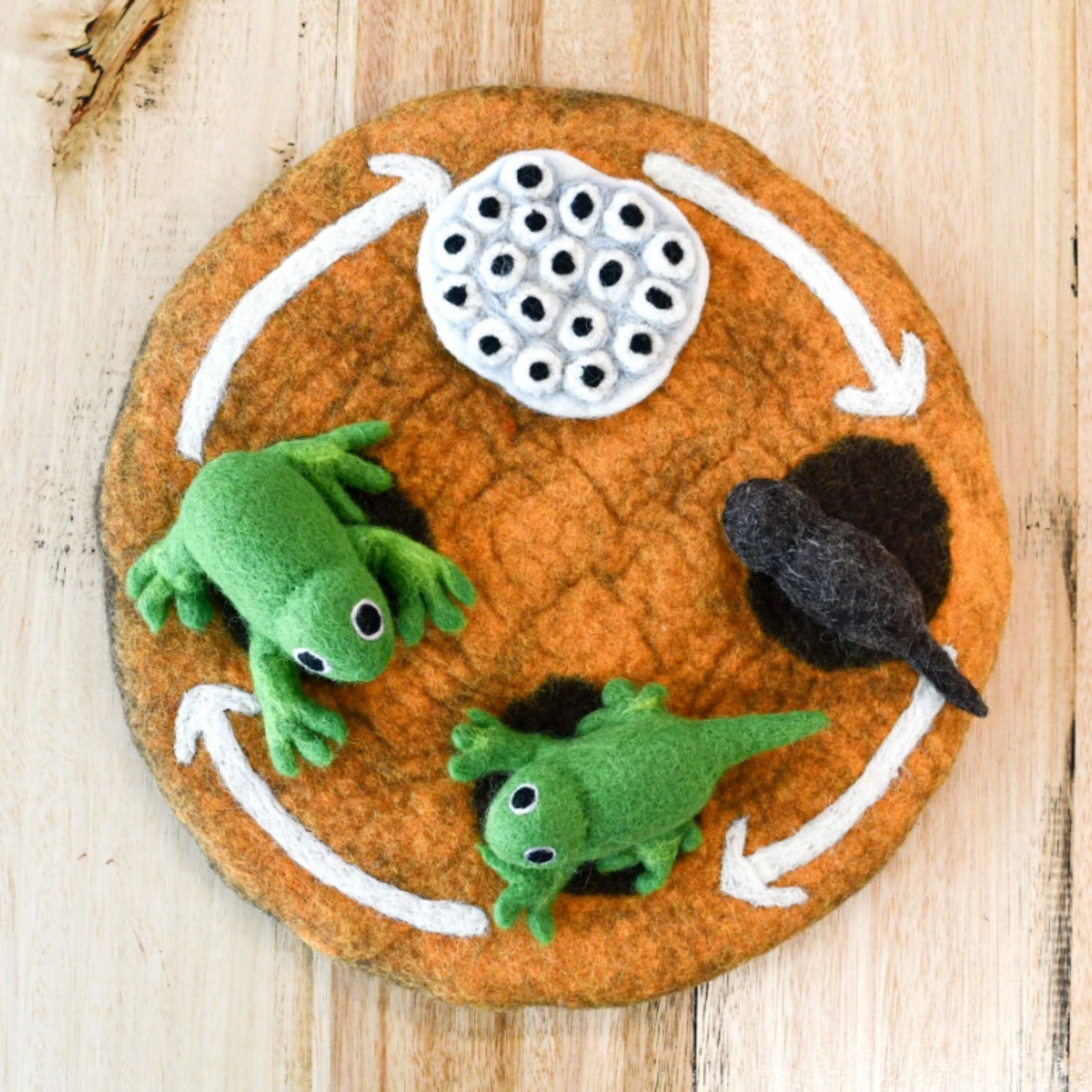 Felt Life Cycle of a Frog (Playmat Sold Separately)