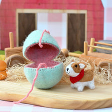 Felt Mint Surprise Egg with Corgi Puppy