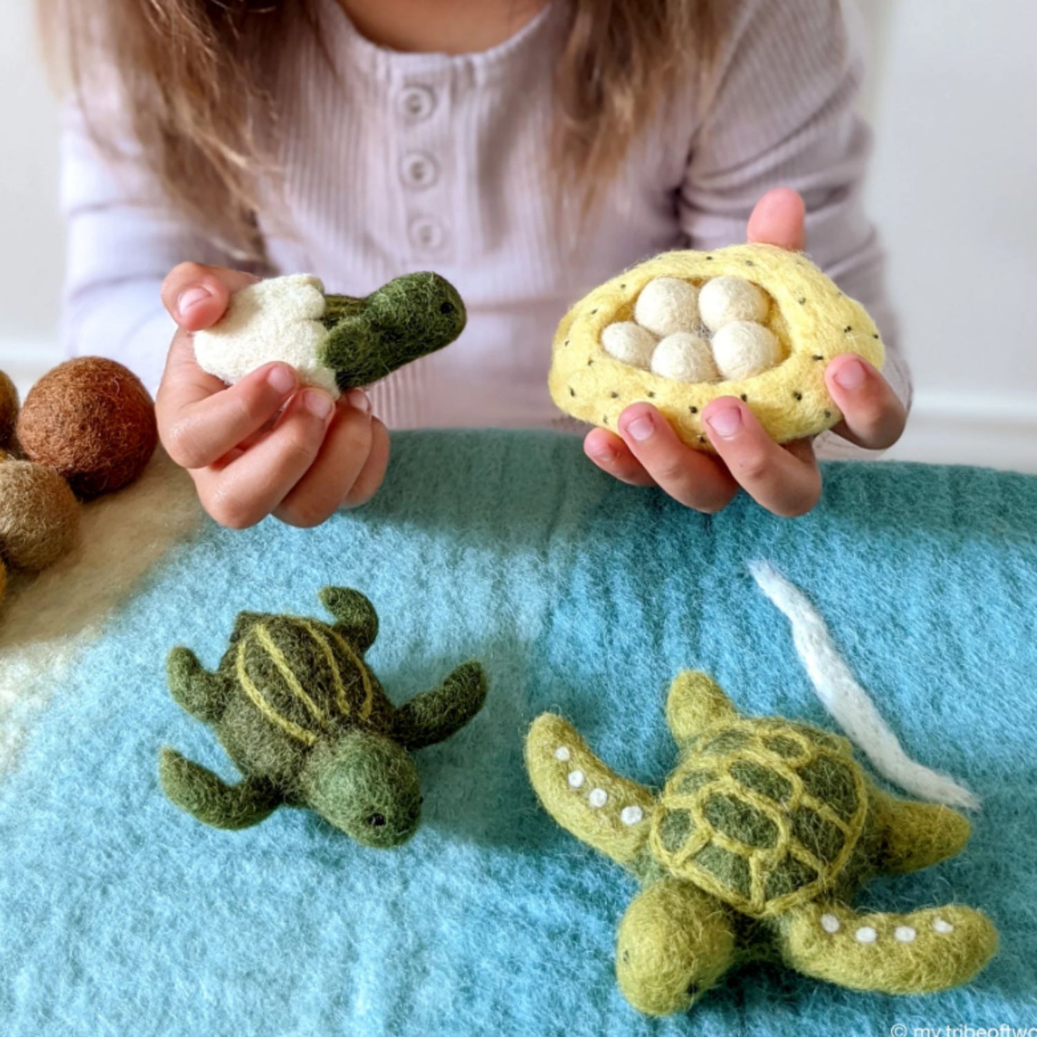 Felt Life Cycle of a Green Sea Turtle (Playmat Sold Separately)