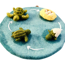 Felt Life Cycle of a Green Sea Turtle (Playmat Sold Separately)