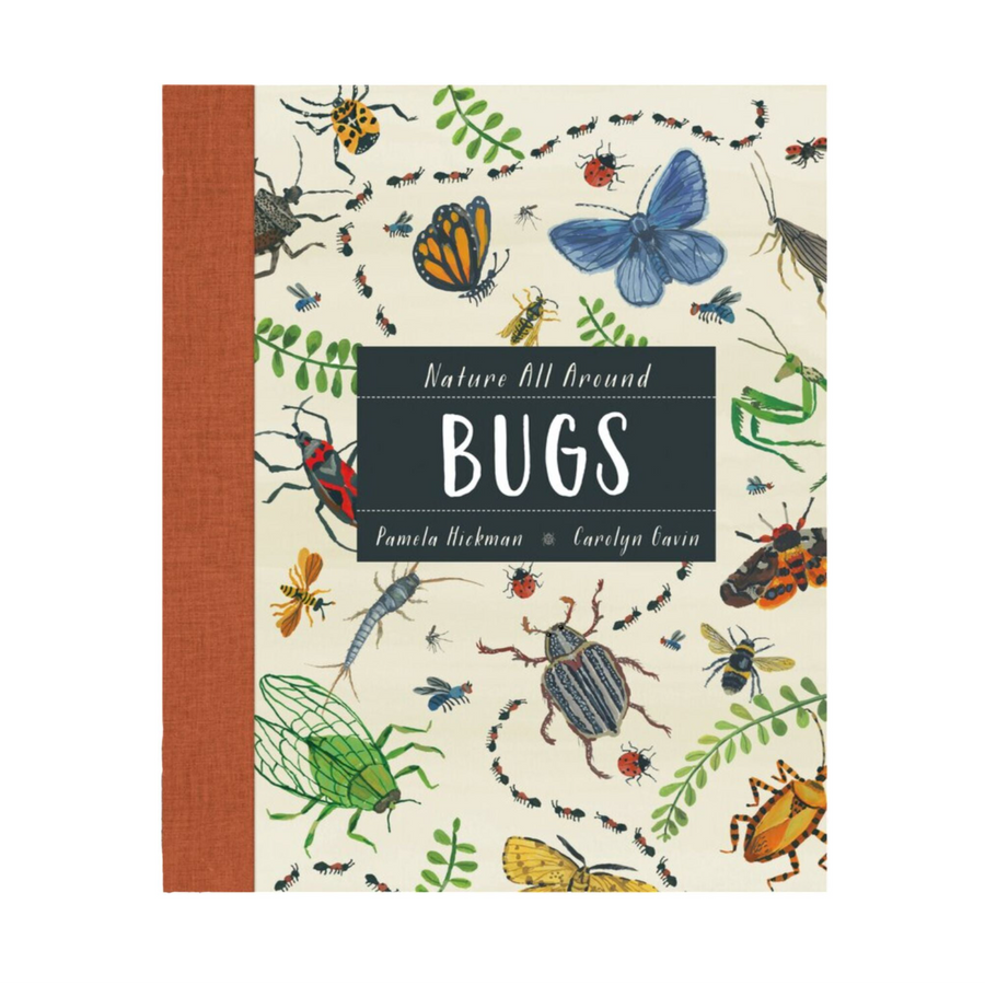 Nature All Around: Bugs | Hardcover (Canadian Author)