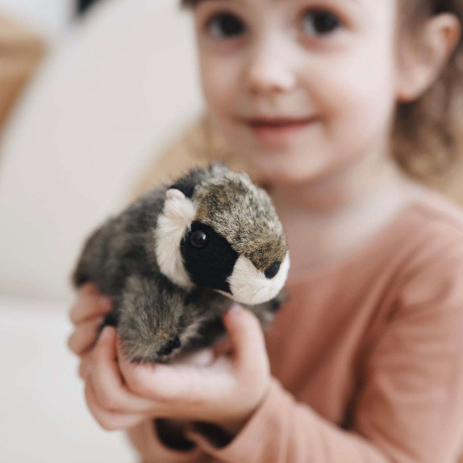 Raccoon finger fashion puppet