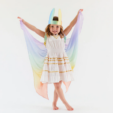 Limited Edition Silk Wings (Soft Rainbow)