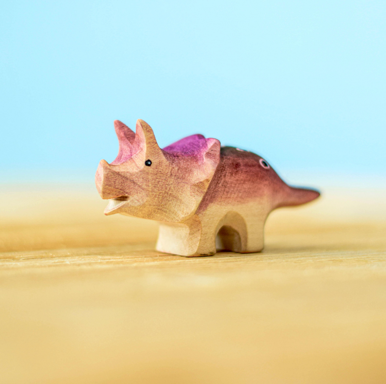 Baby Triceratops Dinosaur