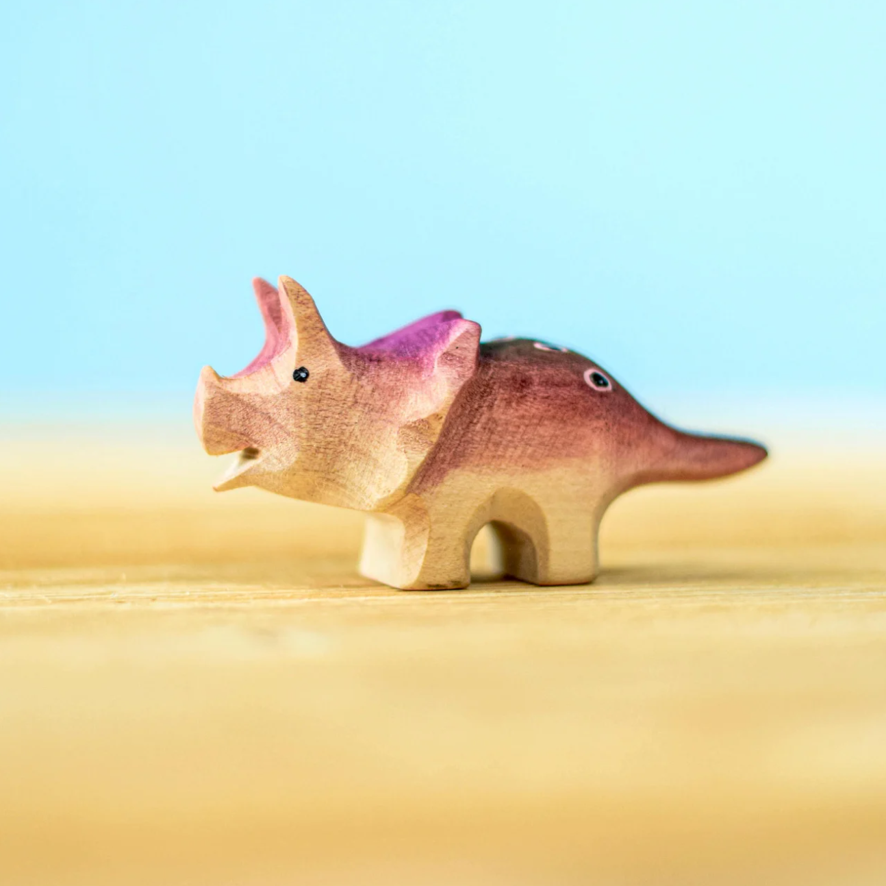 Baby Triceratops Dinosaur