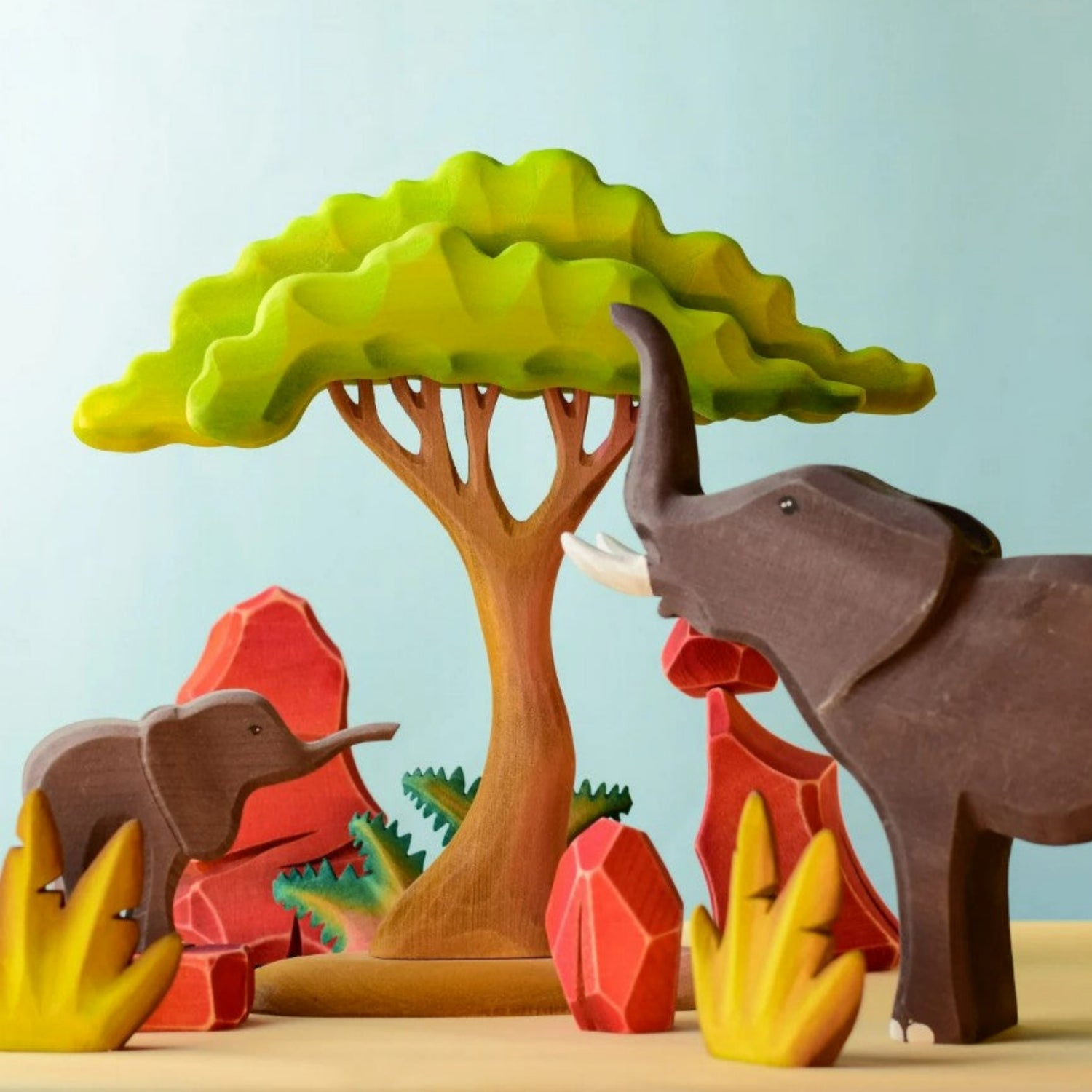PRE-ORDER Large Acacia Tree