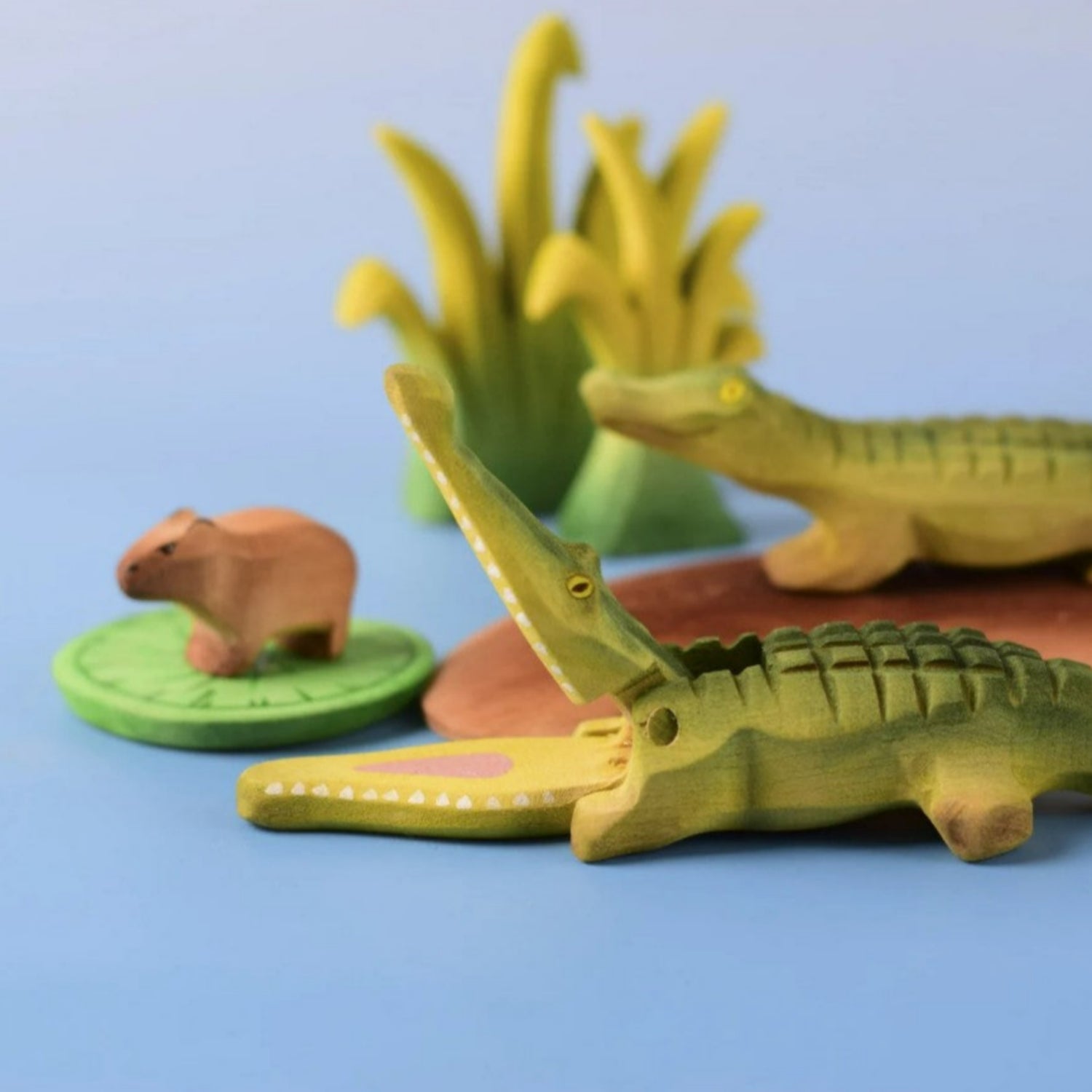 PRE-ORDER Baby Crocodile