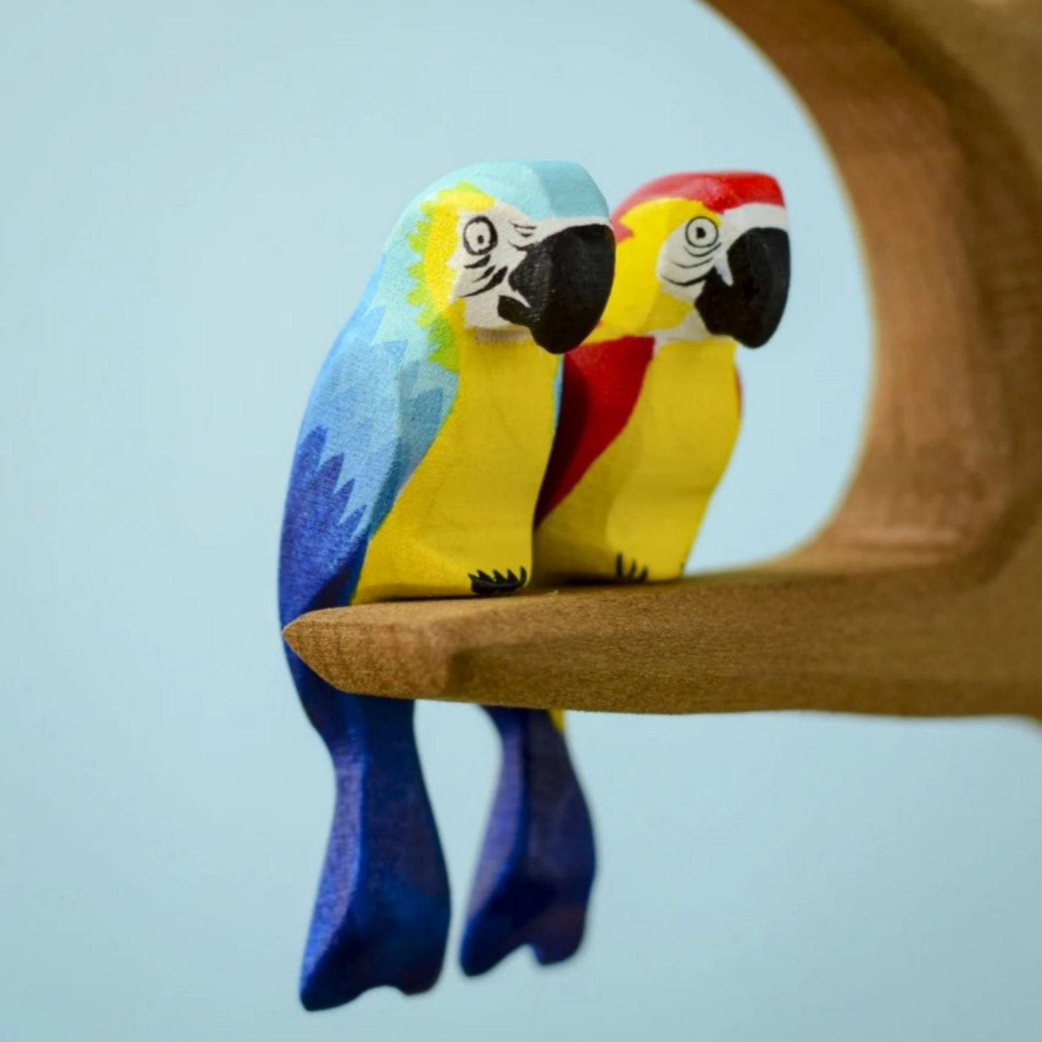 PRE-ORDER Blue Macaw Parrot