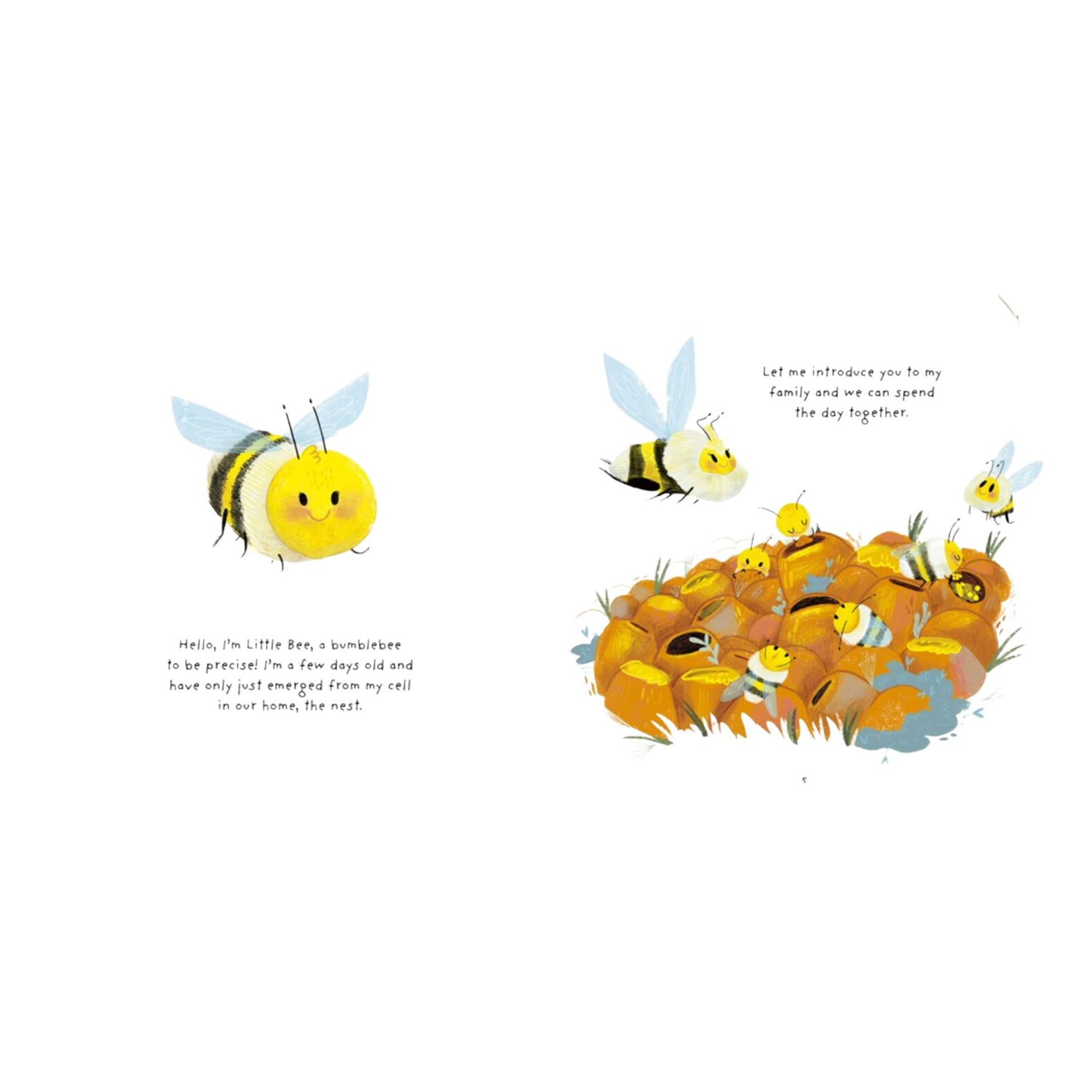 Little Bee: A Day in the Life of a Little Bee | Hardcover