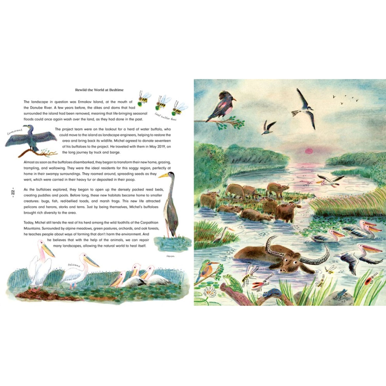 Rewild the World at Bedtime: Hopeful Stories from Mother Nature | Hardcover