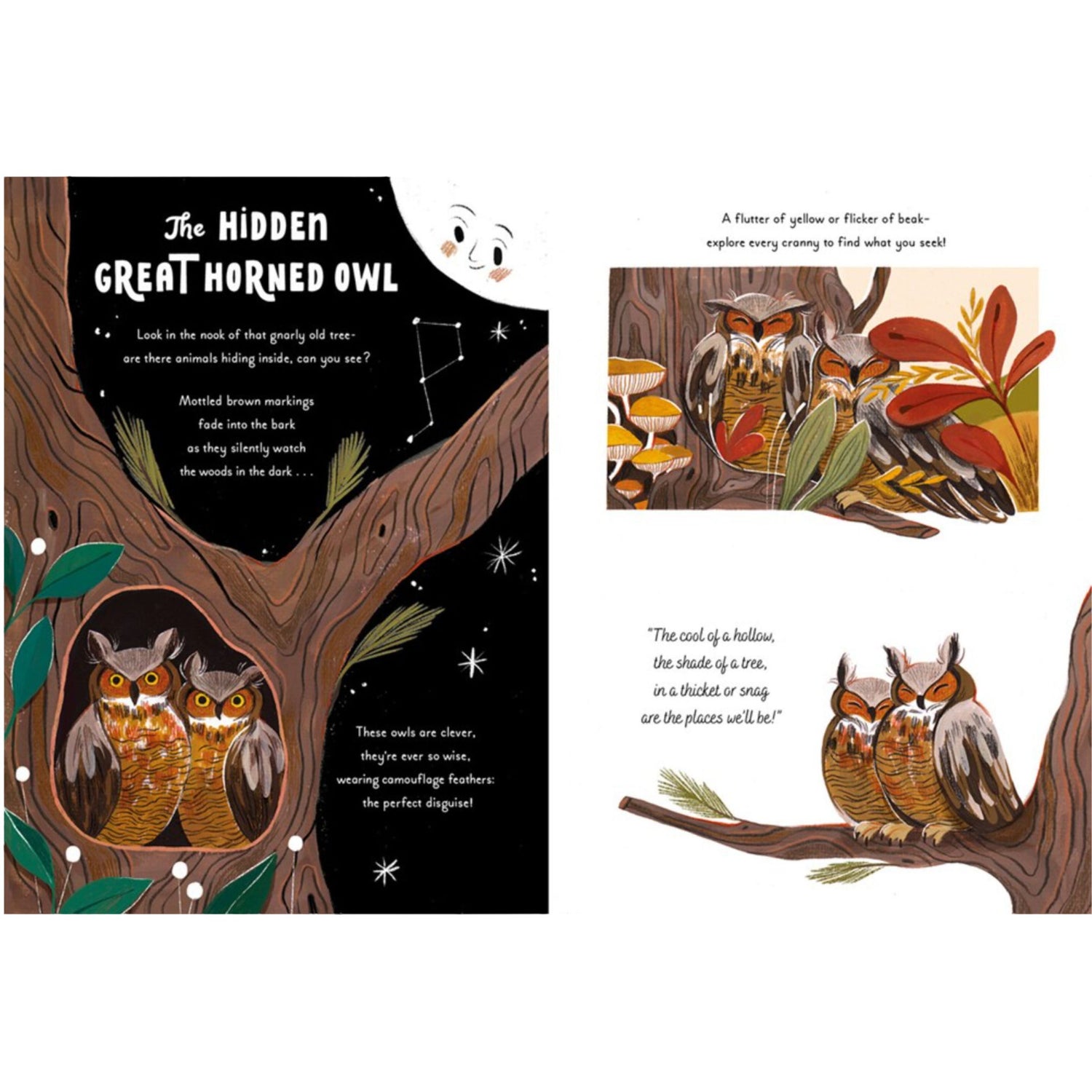 5 Minute Nature Stories: A Picture Book | Hardcover
