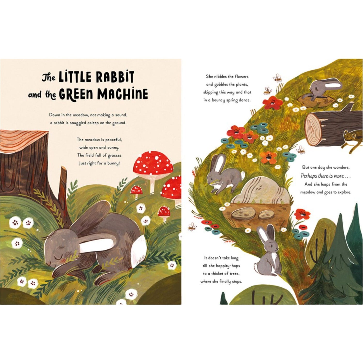 5 Minute Nature Stories: A Picture Book | Hardcover