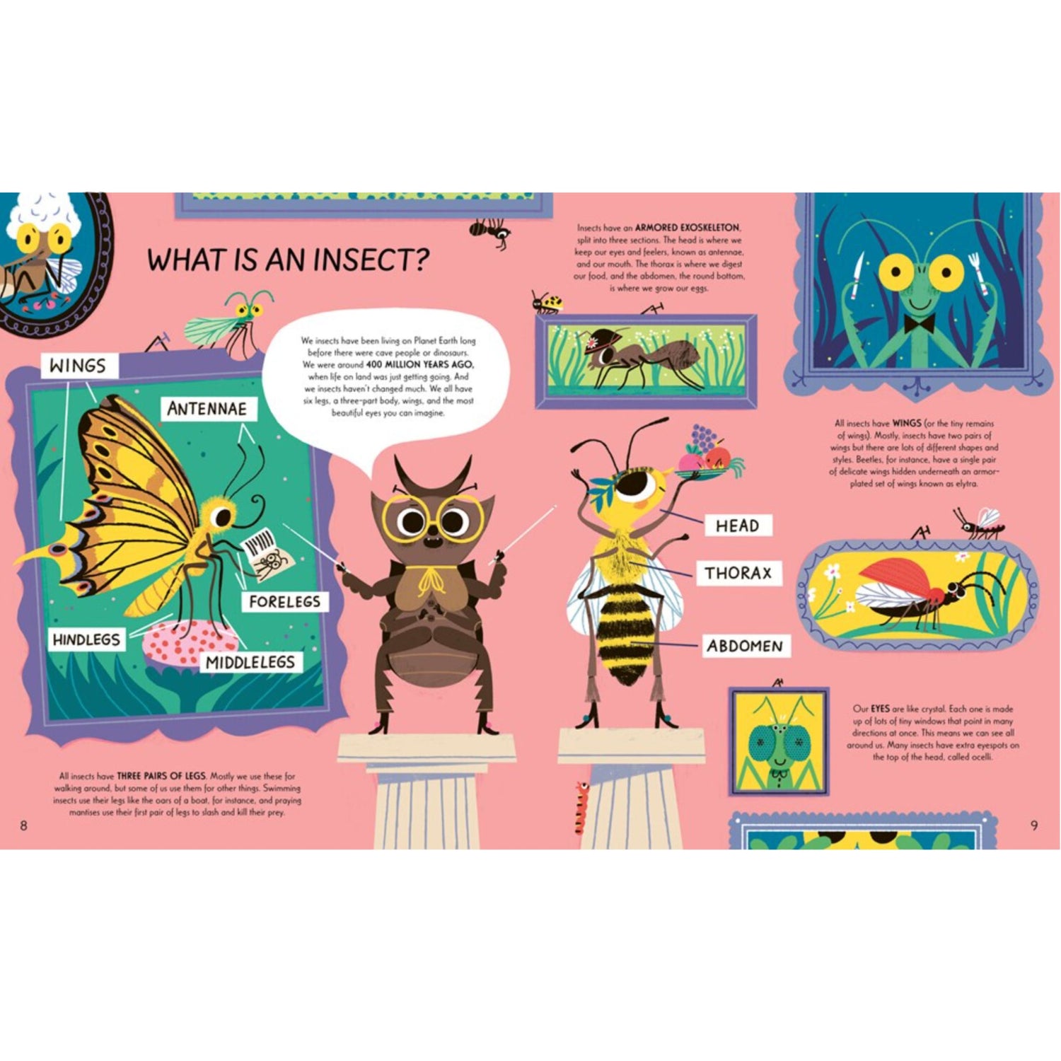 Respect the Insect (Hardcover)