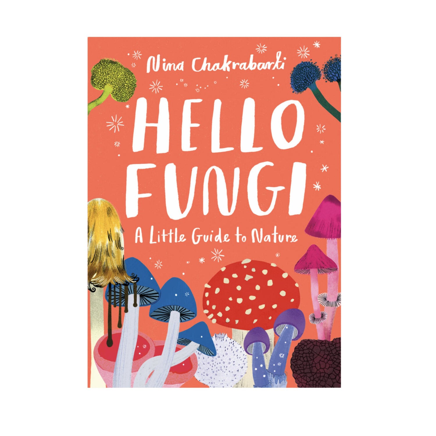 Hello Fungi: A Little Guide to Nature | Hardcover