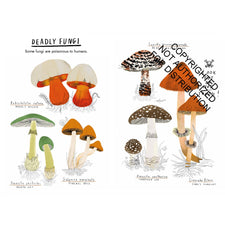 Hello Fungi: A Little Guide to Nature | Hardcover