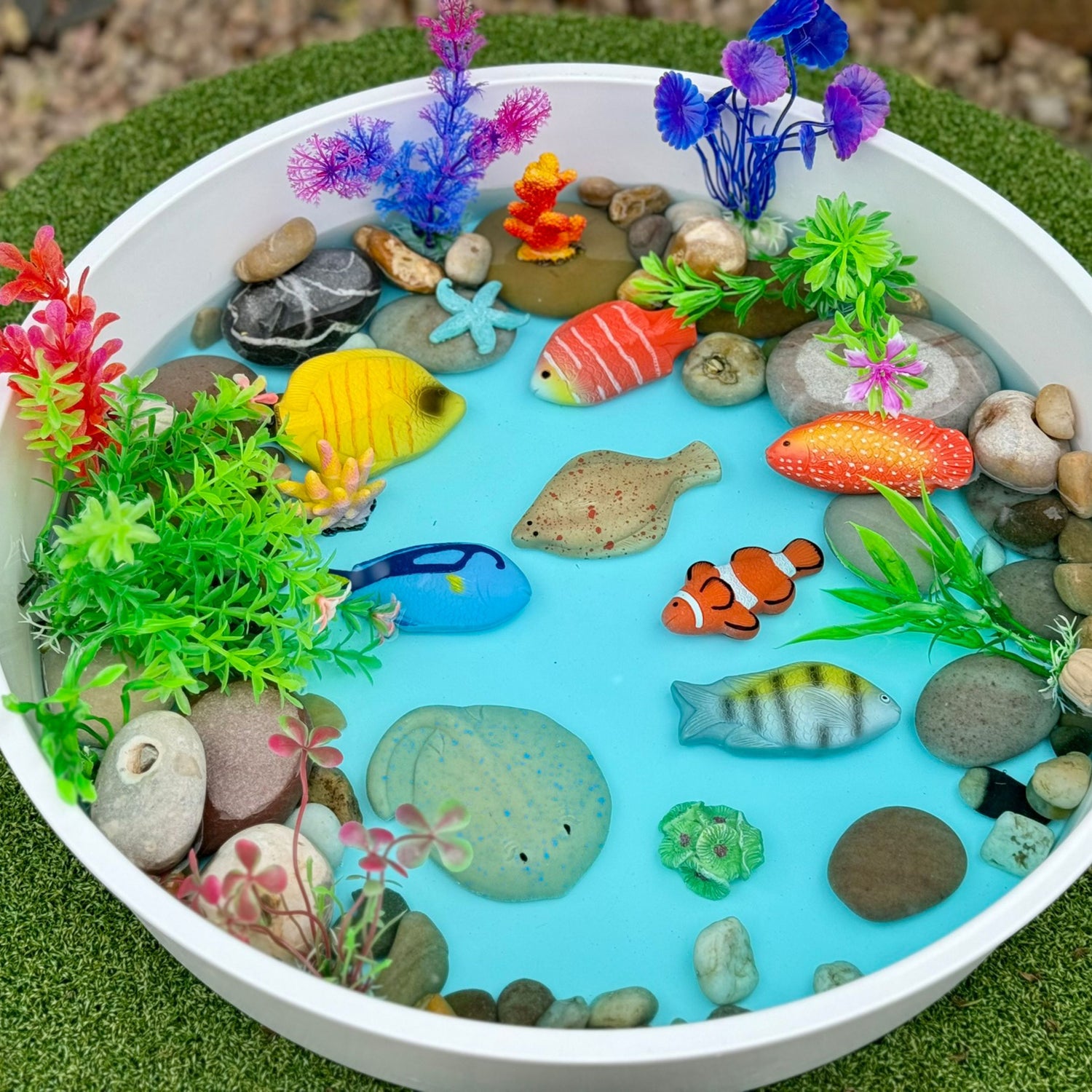 Sensory Play Stones (Fish)