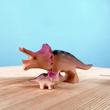 Baby Triceratops Dinosaur